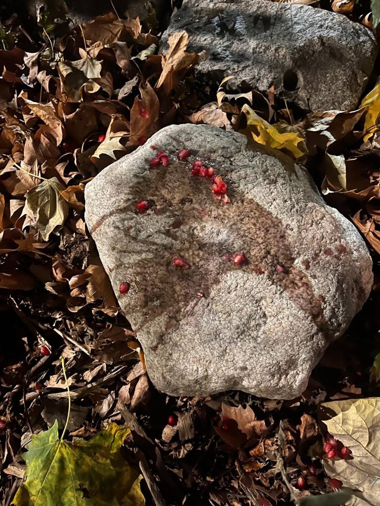 Pomegranate seeds scattered like blood over a pale stone among autumn leaves at night